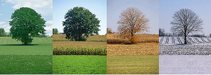 《最终幻想15》总监田畑端将在明年公布全新JRPG